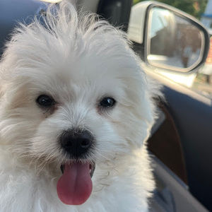 Meet your Posher, Ria